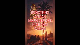 Сахих Муслим. #Shorts #YouTubeShorts #YTShorts #AnimalBattle #cinematic