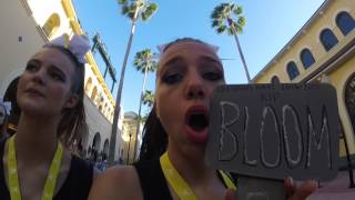 Summit 2017, Stingray Allstars Obsidian