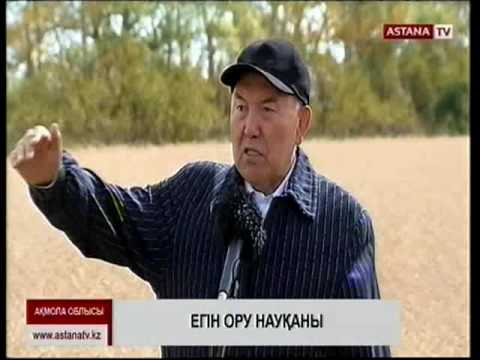 Бейне: Броньдалған орын мен купенің айырмашылығы неде?