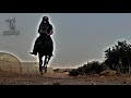لعشاق الخيل تابعوا قناة نواصي الخيل كل مايخص الخيل والفروسية رابط القناة في الوصف 
