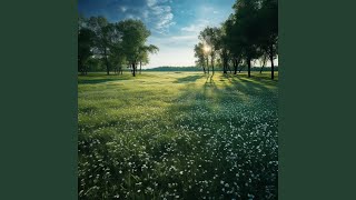 Calm Patterns in Meditative Flow