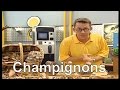 Comment se reproduisent les champignons   cest pas sorcier