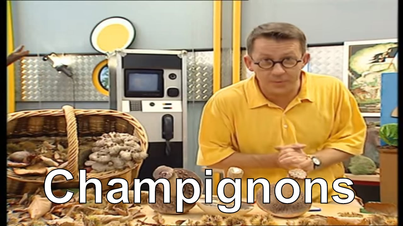 Comment se reproduisent les champignons    Cest pas sorcier