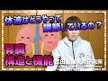 体液の調節はどのようなしくみ？腎臓の構造と機能夏季セミナーを開催します【看護師国試対策】