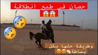 حصان فيه طبع أنطلاقة 😨😱 وطريقة التعامل معه👏🏻👏🏻