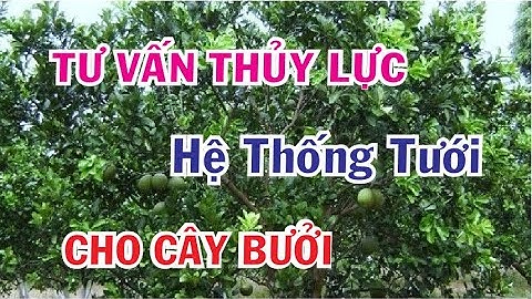TƯ VẤN  THỦY LỰC HỆ THỐNG TƯỚI CHO CÂY BƯỞI, SẦU RIÊNG XEN MAI VƯỜN ANH NGUYEN THE DUNG