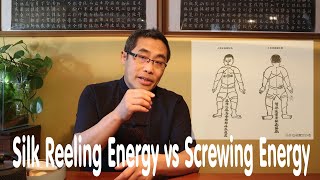Hai Yangs Practice Proverb Series 45 Silk Reeling Energy Vs Screwing Energy