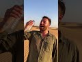 كيف تشرب الماء في الصحراء 
