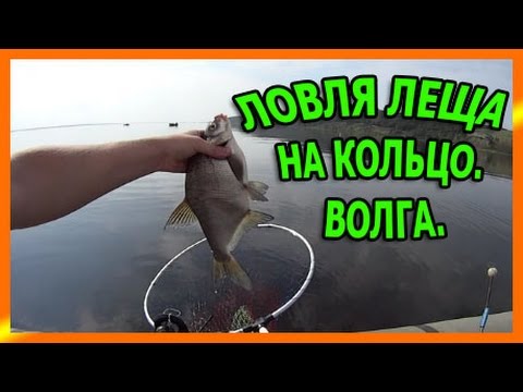 Ловля леща на кольцо. - YouTube Ловля леща на кольцо. - YouTube