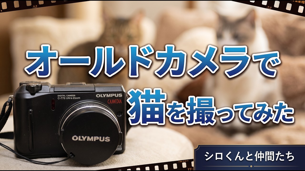 エモい？】オールドデジカメで猫を撮影してみた。【レトロカメラ