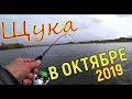 Рыбалка на щуку в октябре. Ждали осень, пришла зима)))