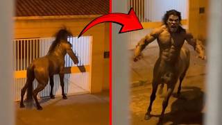 Real Encounters With Disgusting Creatures You Wont Believe Existed!