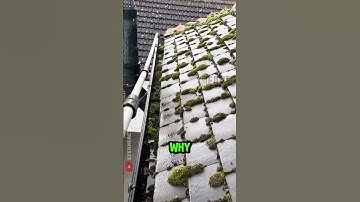 Geniale dakgootreiniger die vanaf de grond werkt 🧹🧼