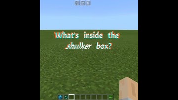 MINECRAFT: What