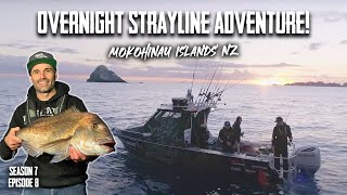 Offshore Islands Overnight Camping Mission - S7 EP8 Mokohinau Islands