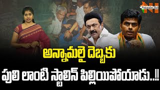 CM Stalin vs BJP Chief K Annamalai In Tamilnadu Politics...? | Amit Shah | Nationalist Hub