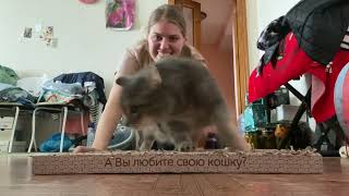 For Myself. Me And Cat. Do You Love Your Cat?