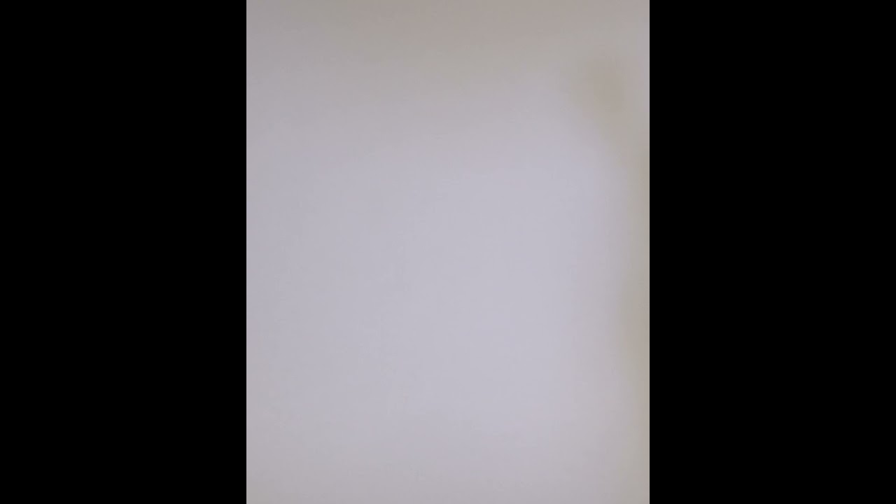 Preview of Fair Harbor Bungalow 5" Swim Trunks - Men's Video