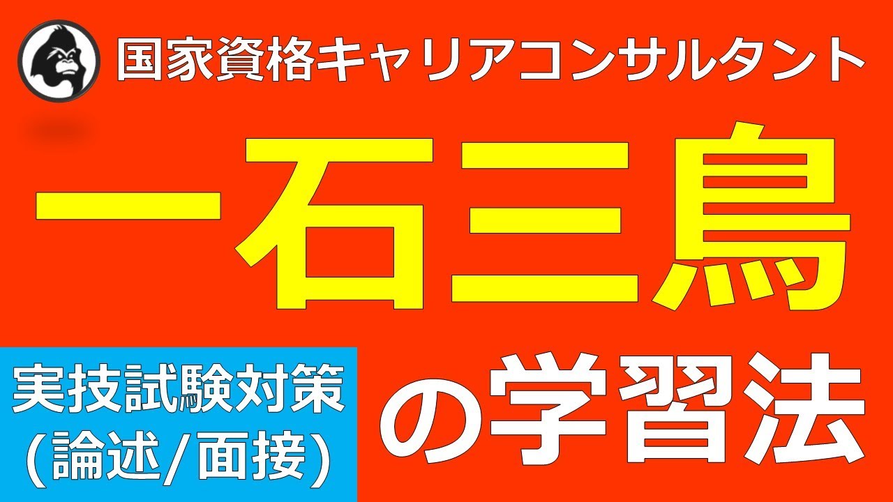 実技 論述 面接 試験対策 一石三鳥の学習法 国家資格キャリアコンサルタント試験 Youtube