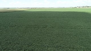 NW Iowa land auction sets new record price for ag land