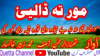 Pashto Nazam Mor (Maa) Ta Dalei || پشتو نظم مور ته ڈالیئ || Quetta Channel