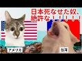 【もし日本が死んだら】世界が失う“本当の価値”とは?#猫マニ #猫ミーム