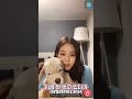 Jennie Kim Cute moments with her dogs - Kuma and Kai の動画、YouTube動画。