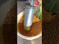 Self-Priming Grain Crusher Machine | Adjustable Output Size | Corn, Rice, Wheat Milling Machine