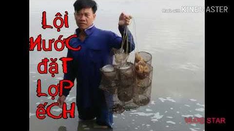 Mùa nước lũ về lội nước đặt lợp ếch thật thú vị