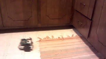 BoeBot navigation with whiskers.