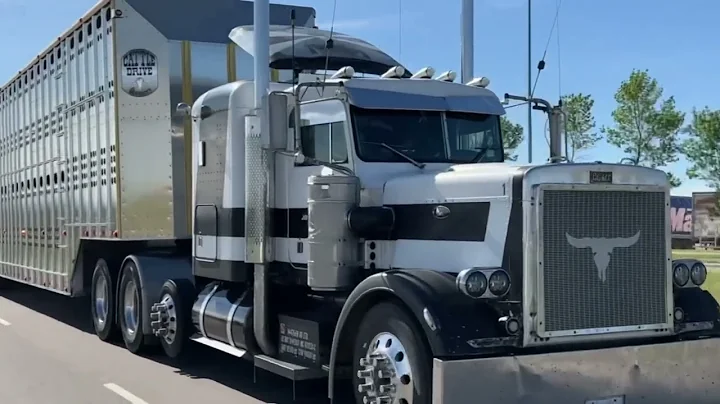 359 peterbilt