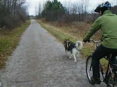 rescue dogs rock nyc Nov 3rd, 2012 Trail ride Part 1