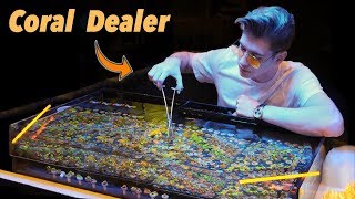 Growing Coral - a LEGAL way to make millions?! 💰 (Nas Daily)