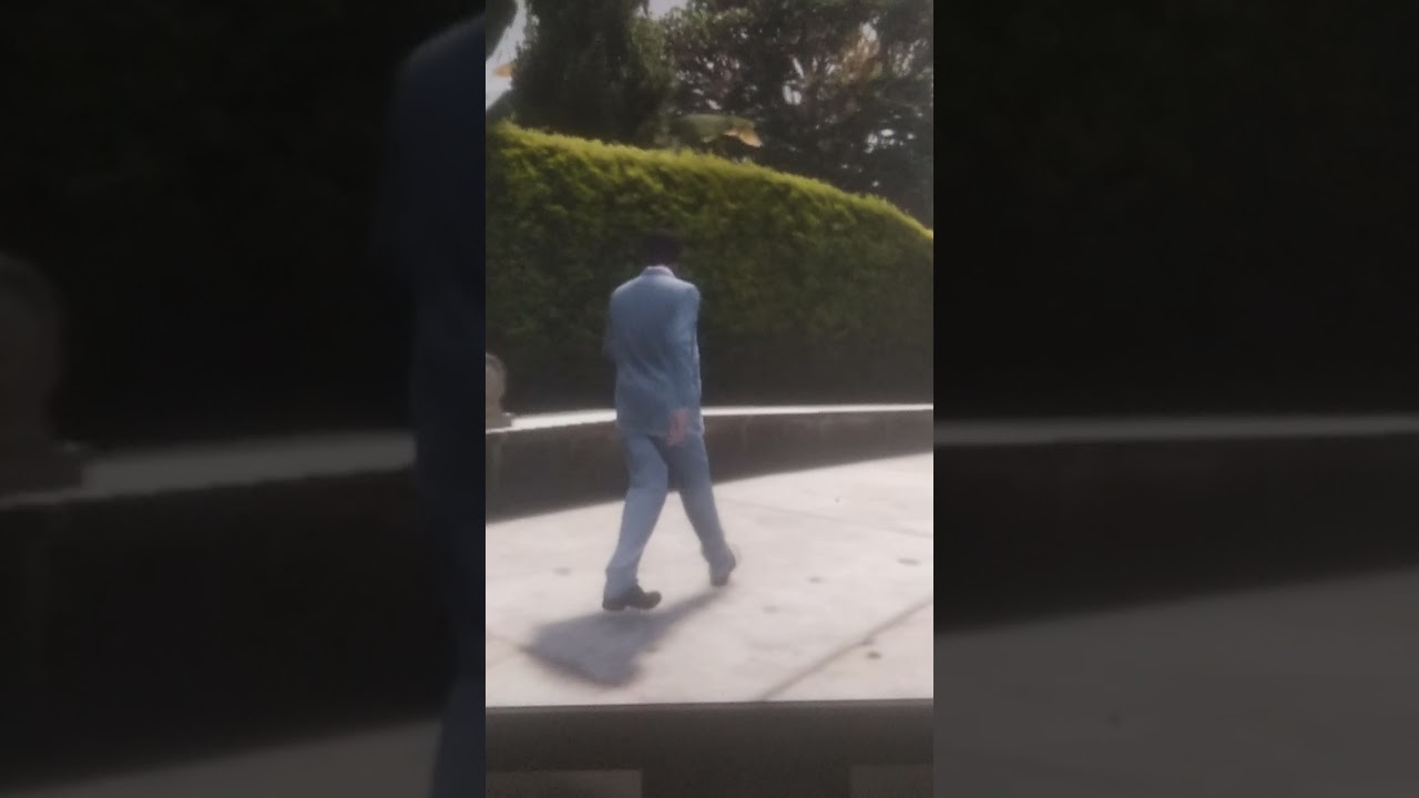 GTA5 handcam short video Michael in car, GTA5 gameplay in pc