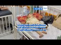 غزة بلا حليب علاجي .. الموت يهدد الرضّع والخدّج في القطاع