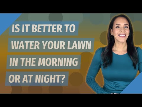 Videó: Jó a víz a fűnek?