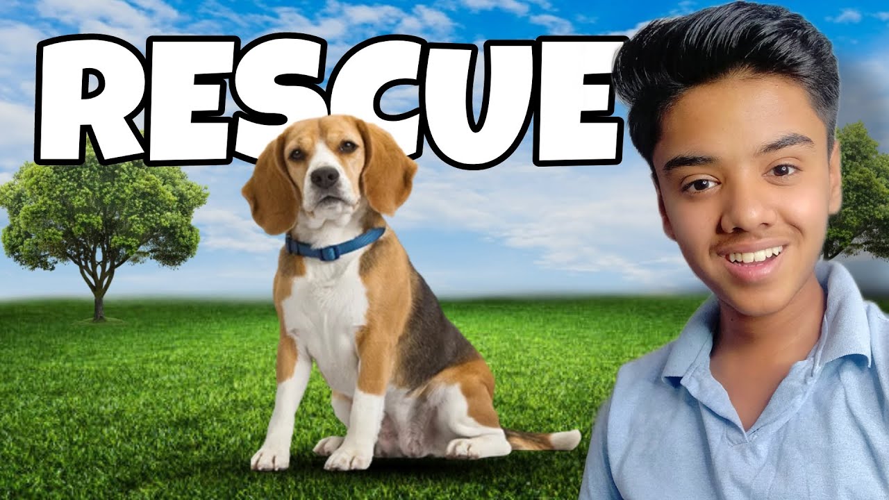 I RESCUE A DOG [ ANIMAL SHELTER ] - YouTube