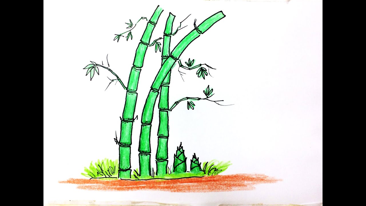 Cách Vẽ Cây Tre/How To Draw A Bamboo Tree - Youtube