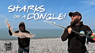 Sharks On A Dongle! Fishing. Watch As I Reel In More Than I Bargained For!🎣