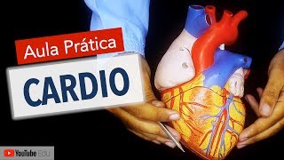 Anatomia do Coração: Aula Prática com Wedson Vilanova | Anatomia e etc