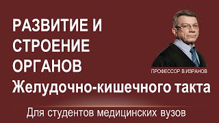 Строение и развитие желудочно-кишечного тракта