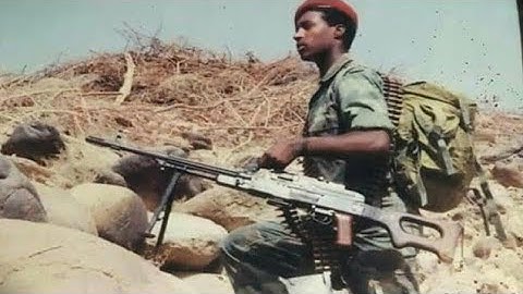 wedi gebru concert music  kokob xelemti