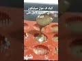 كيك في مول سيليكون العادي