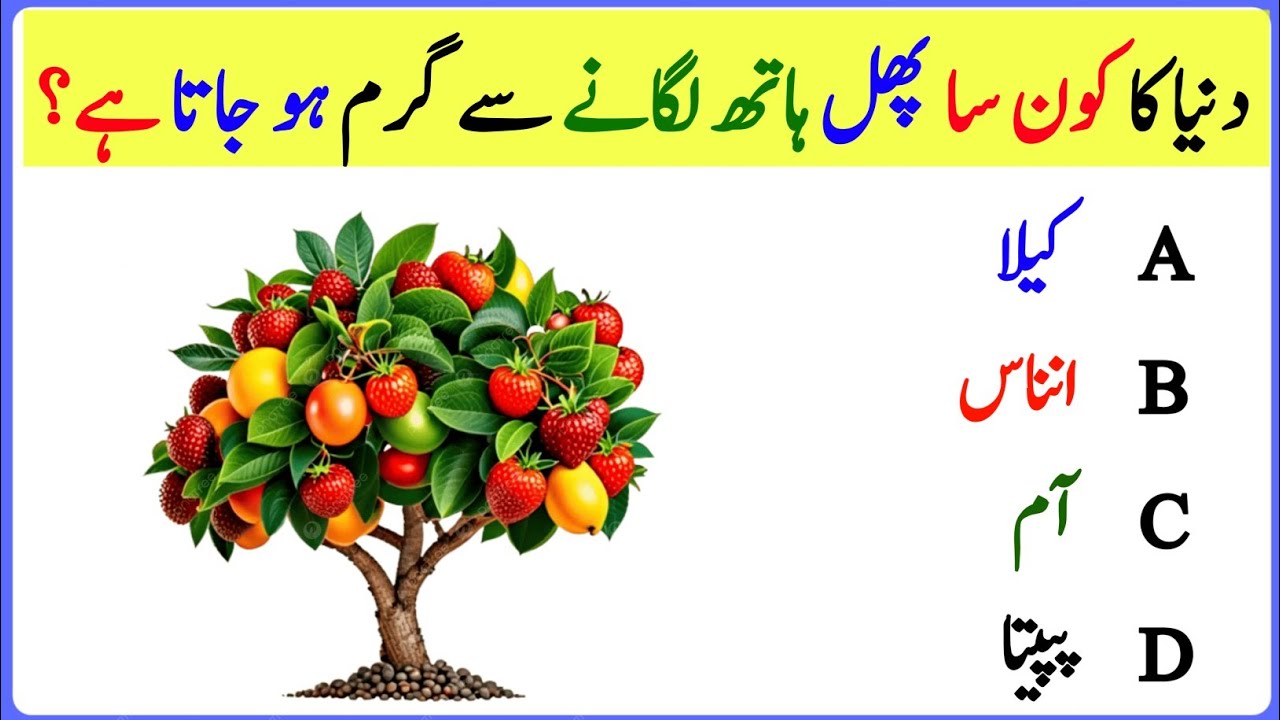 World GK MCQs||World Facts MCQs||General Knowledge MCQs||Current Affairs MCQs||