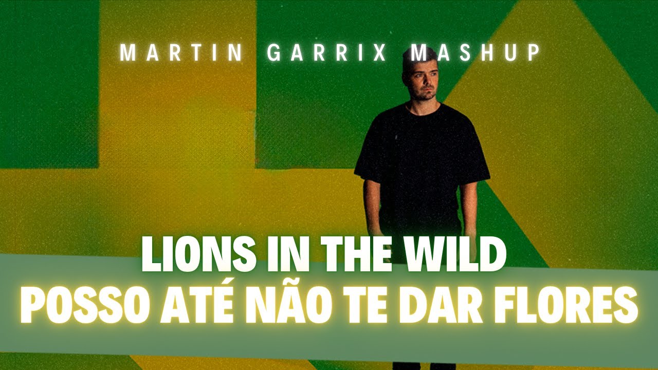 Lions In The Wild vs Posso Até Não Te Dar Flores (Martin Garrix Brazil Tour Mashup) (Renzed Remake)