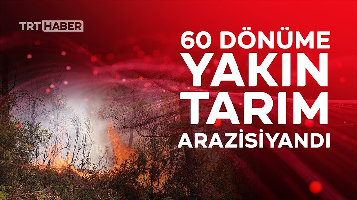 Manisa'da orman yangınları