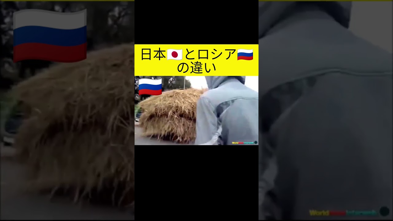 日本とロシアの違い#面白集 #もすかう #おそロシア - YouTube