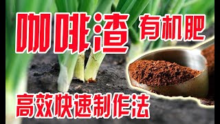 咖啡渣做有機肥營養又驅蟲, 咖啡渣對種菜的應用, 註意事項,咖啡渣有機肥製作 How to use coffee grounds properly in the garden, fertilizers