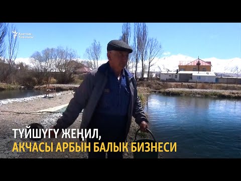 Video: Компания менен балык уулоону кантип уюштурса болот