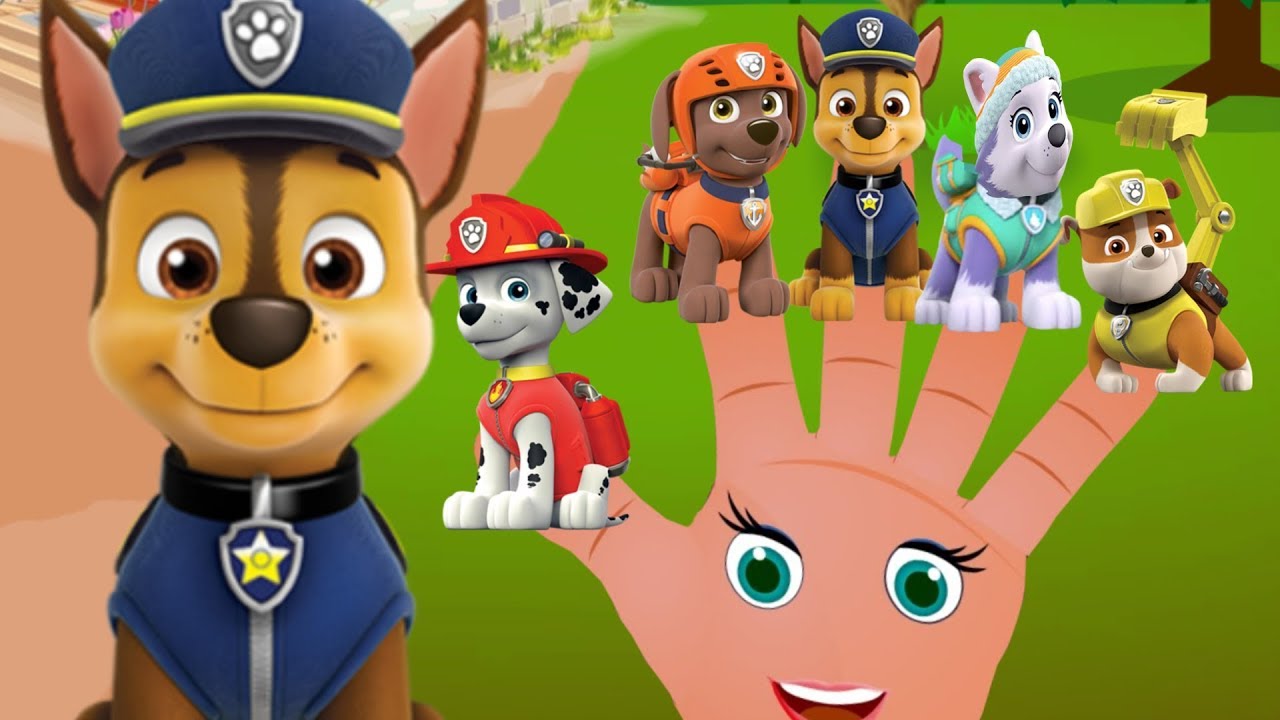 Paw Patrol Finger Family Song Ep1 Chase Rubble Skye Marshall Nursery Rhymeore You Paw Patrol Finger Family Song Ep1
